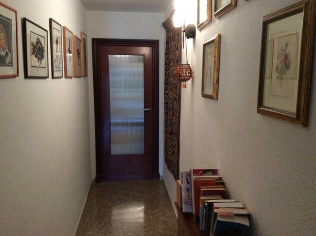 Homestay En Plaza Candelaria, Casco Antiguo Cadiz Exterior photo